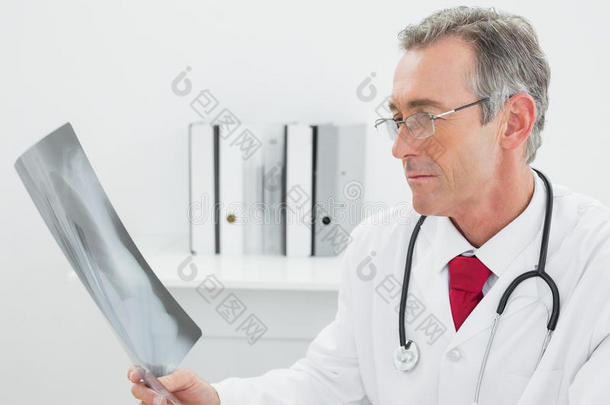 医生在办公室看肺部的x光照片