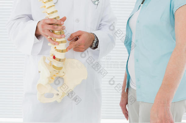 医生向病人讲解脊柱的中间部分