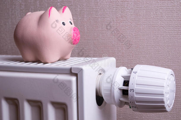 粉红小猪存钱罐节<strong>省电</strong>费和取暖费，特写