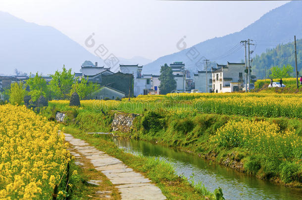 中国<strong>婺源</strong>的乡村景观与民居。