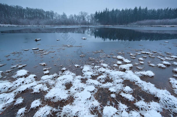 森林中冻结的野生湖泊