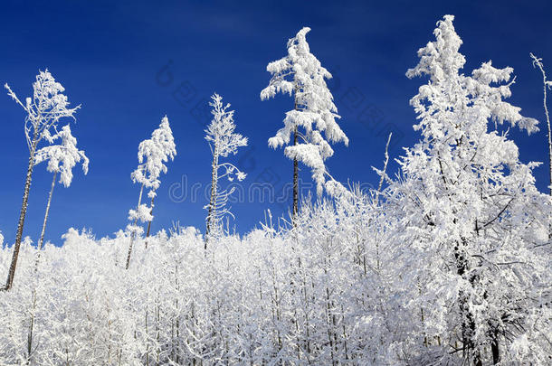 斯洛伐克高塔特拉斯的雪景