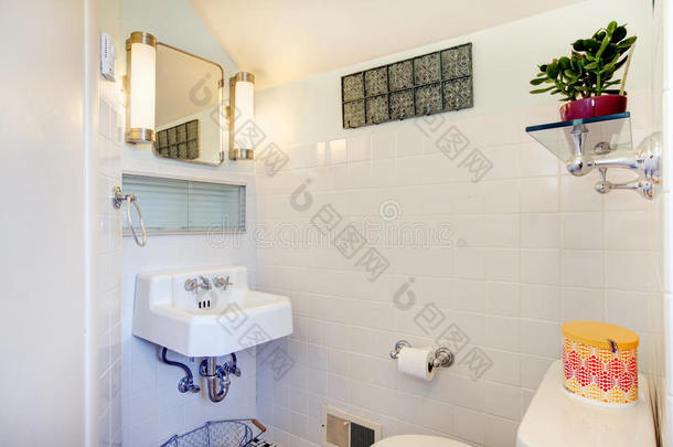 白色浴室，装饰有花盆和乡村衣架