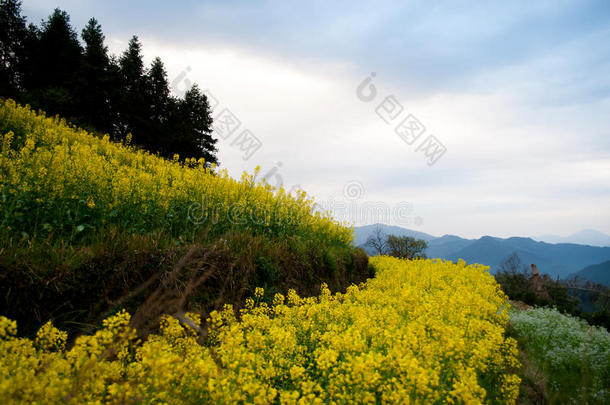 江西省<strong>婺源</strong>县乡村景观俯瞰图