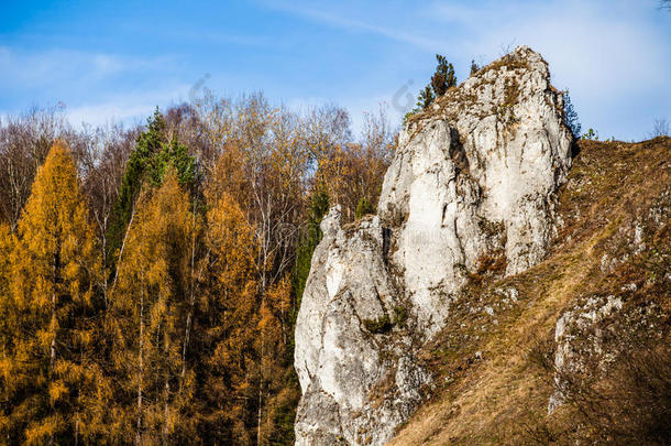 波兰奥乔夫奥乔夫斯基国家公园秋林白岩