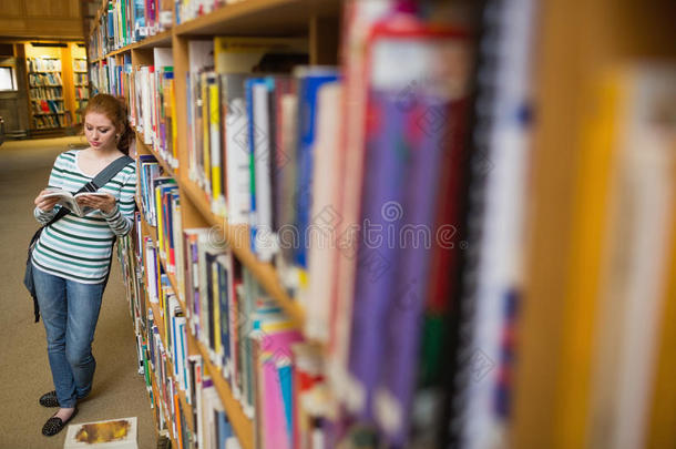 图书馆学生集中阅读书架书