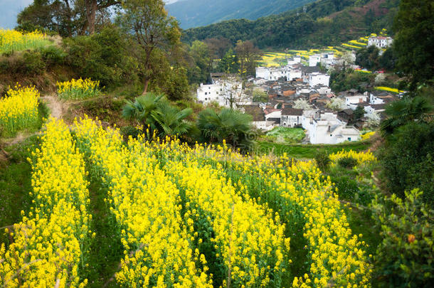 江西省婺源县乡村景观俯瞰图