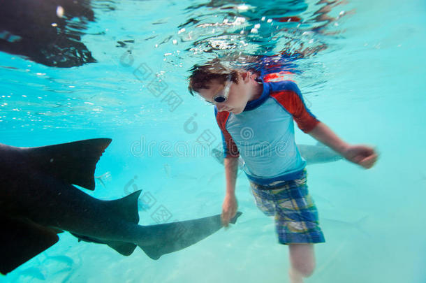 和鲨鱼护士一起在水下游泳的男孩