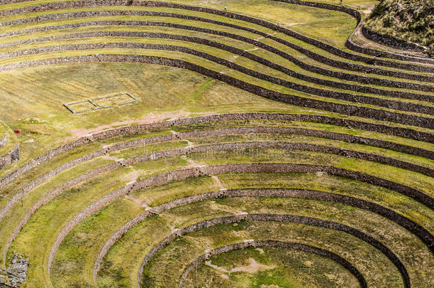 秘鲁，马里，古印加圆形梯田。可能有印加农业实验室