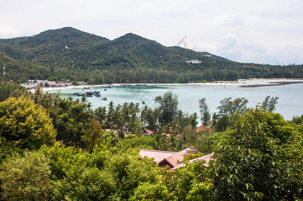 小草林湾风景