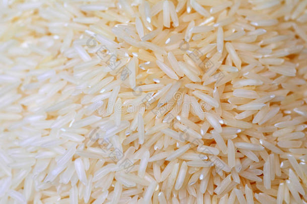 泰国稻
