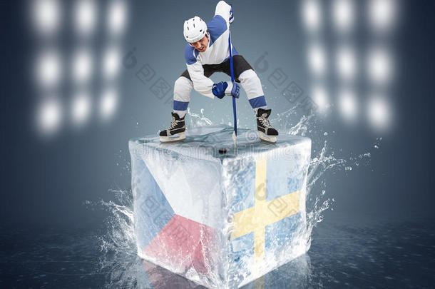 瑞典-捷克锦标赛。准备在冰块上与玩家<strong>对峙</strong>。