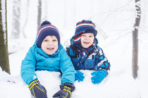 快乐家庭：两个双胞胎小男孩在冬天的森林里玩雪。