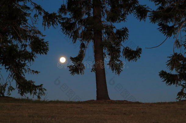 深蓝色夜景下的满月