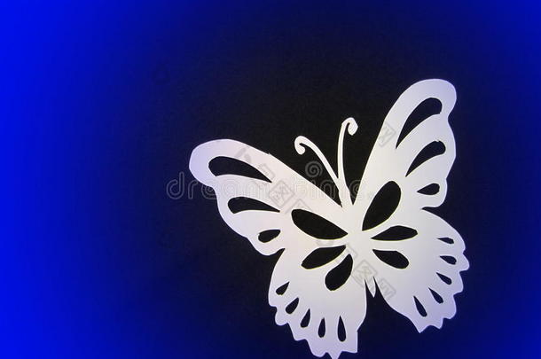 白蝴蝶。剪纸。