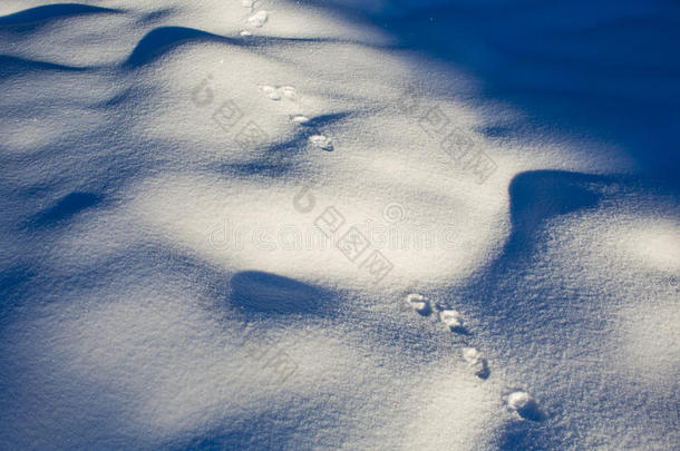 新雪中的脚印