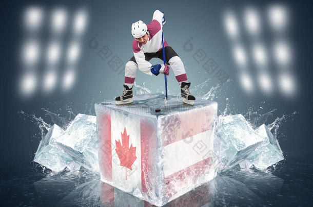 加拿大-奥地利比赛。在冰块上与玩家对峙。