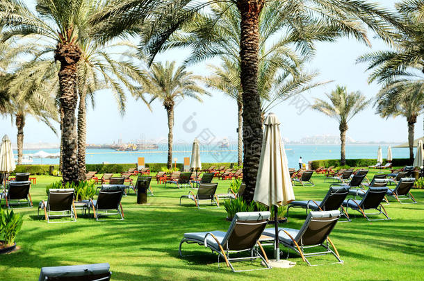 豪华酒店的绿色草坪和棕榈树荫上的日光浴床