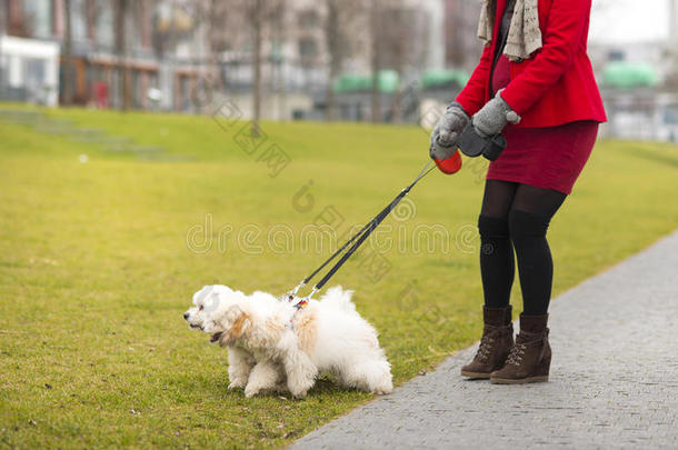 <strong>孕妇</strong>遛狗冬季<strong>写真</strong>