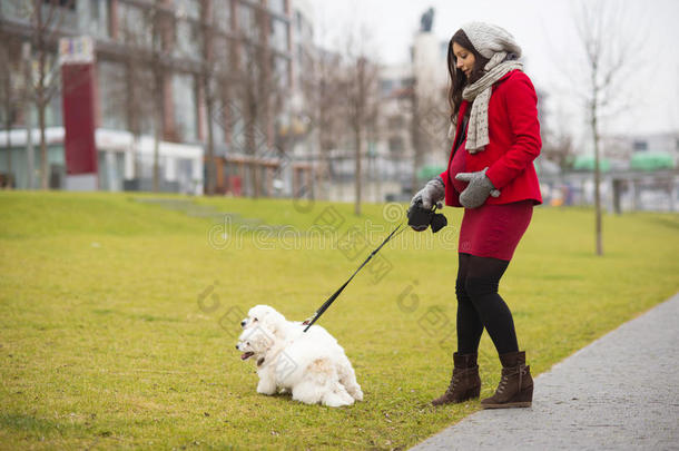 孕妇遛狗冬季写真