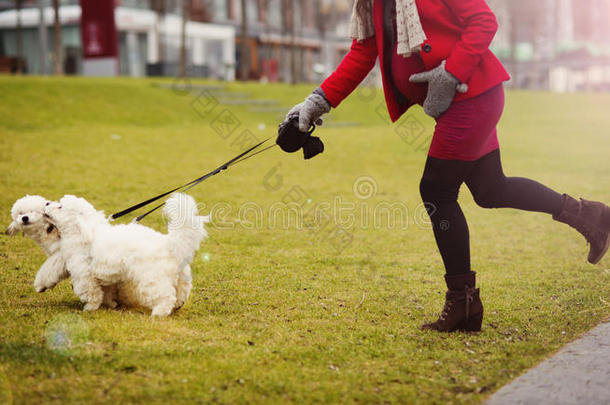 <strong>孕妇</strong>遛狗冬季<strong>写真</strong>