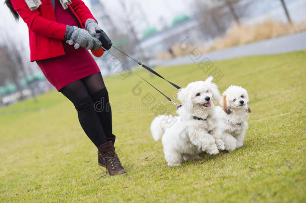 <strong>孕妇</strong>遛狗冬季<strong>写真</strong>