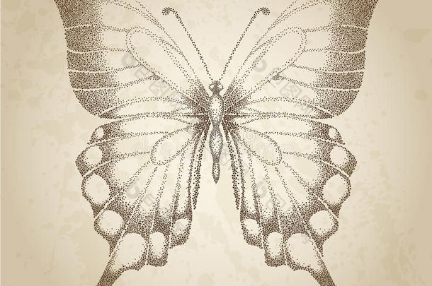 蝴蝶画在图形风格点。 很可爱