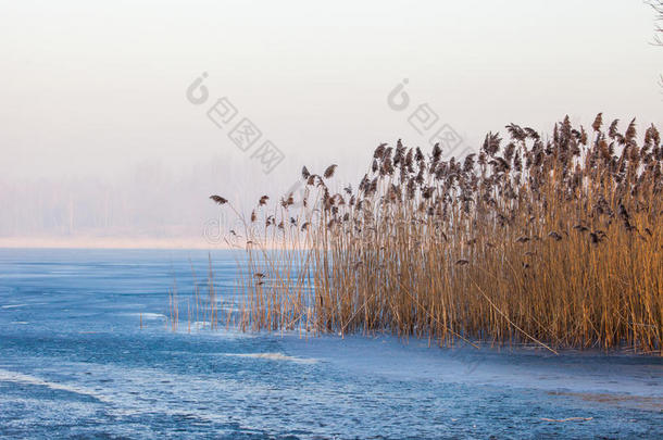波戈里亚湖。<strong>波兰</strong>冬季景观