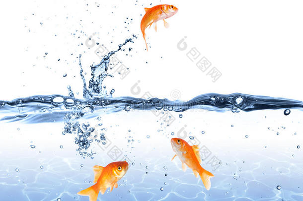金鱼跳出水面-逃离概念