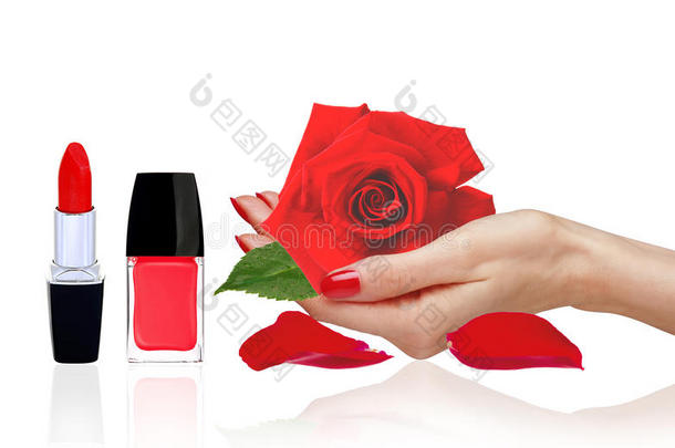 玫瑰在女人手上，红色指甲油和<strong>唇膏</strong>隔离