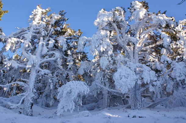 西班牙马德里纳<strong>瓦</strong>切拉达的雪，