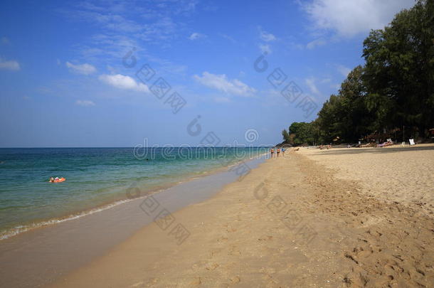 海滩和树木，phra <strong>ae</strong>海滩，ko lanta，泰国