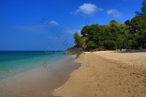 海滩和树木，phra ae海滩，ko lanta，泰国