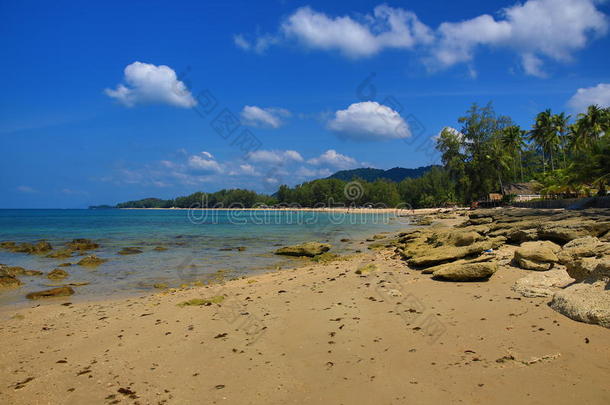 热带植物，海滩和树木，phra ae海滩，ko lanta，泰国