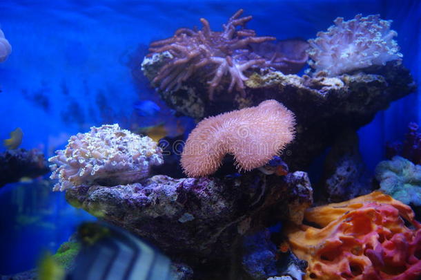 海底景观水族馆