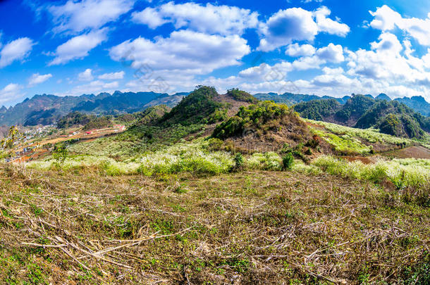 风和日丽的山峦梅花