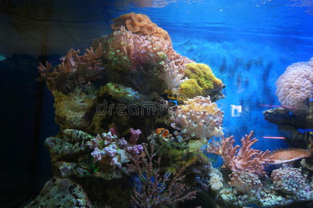 海底景观水族馆