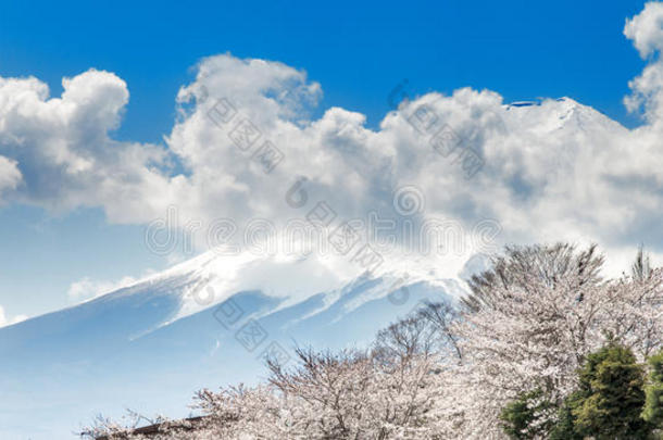 日本富士山和粉色樱花