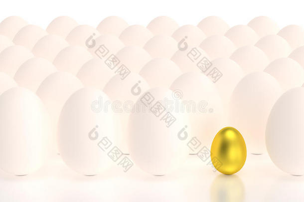 一排排鸡蛋里的金蛋