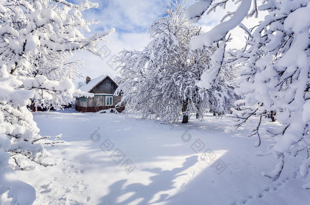 冬季童话，大雪