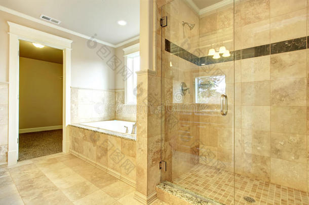 带浴缸和玻璃门淋浴的舒适浴室