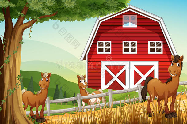 红谷仓附近农场的马