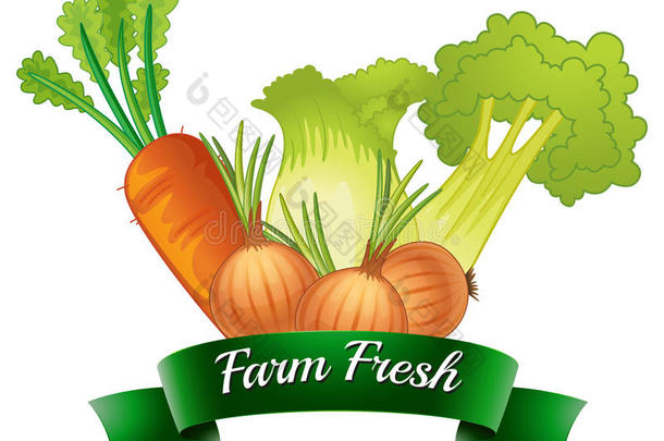 有新鲜蔬菜的农场新鲜标签