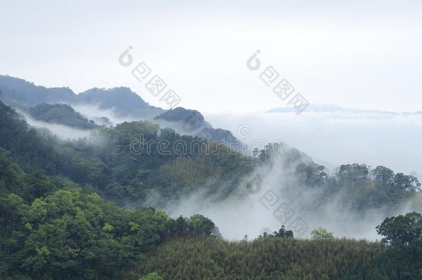 雾和山的变幻莫测。