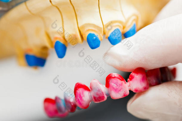 牙科技师工作