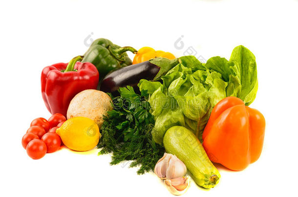 蔬菜品种