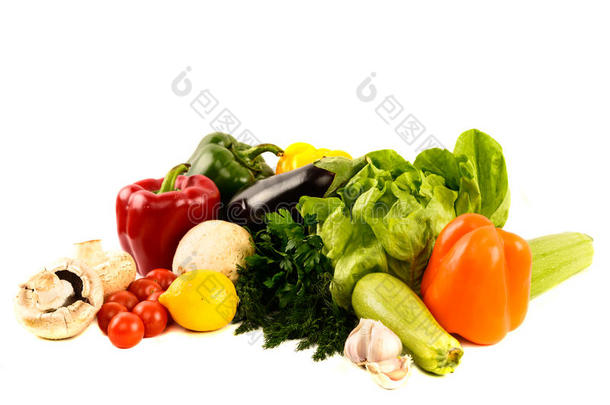 蔬菜品种