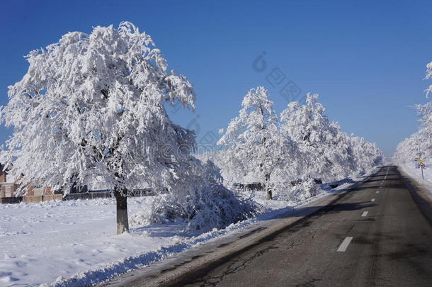 冬季高山公路