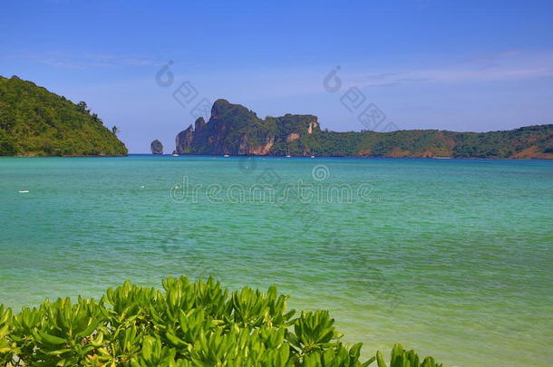 泰国菲菲罗达勒姆湾卡巴纳<strong>度假酒店</strong>内的热带植物