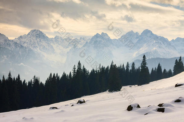 塔特拉高山